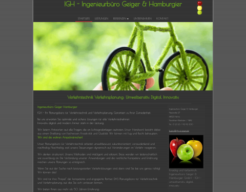 Website-Vorschau von Ingenieurbüro Geiger und Hamburgier GmbH