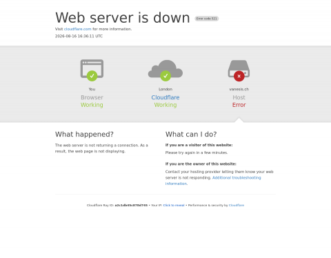 Website-Vorschau von VANESI?S SECRETS