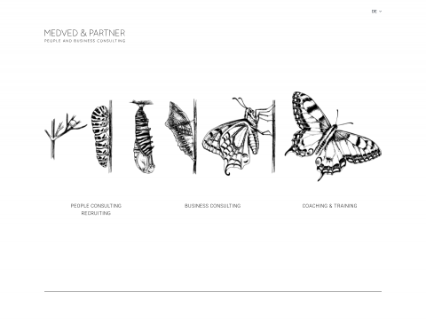Website-Vorschau von Medved und Partner OG