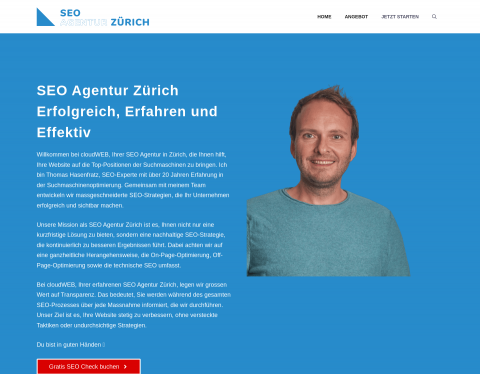 Website-Vorschau von seoagenturzuerich