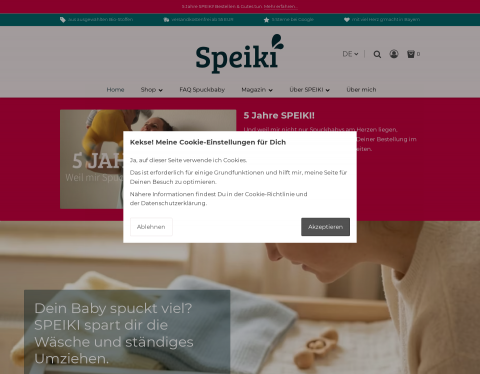 Website-Vorschau von Speiki