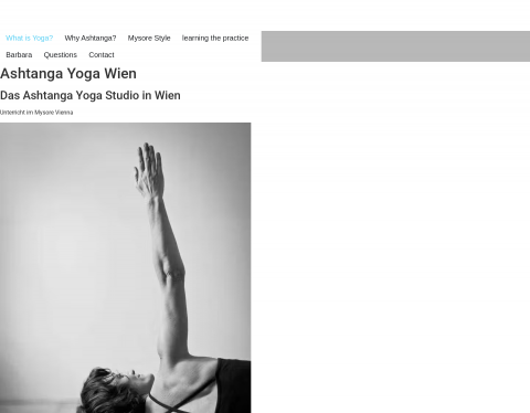 Website-Vorschau von Mysore Vienna