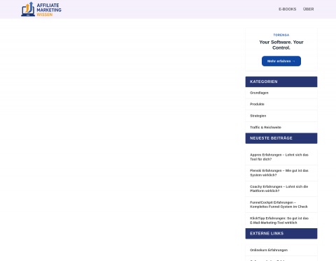 Website-Vorschau von Affiliate Marketing Wissen Blog