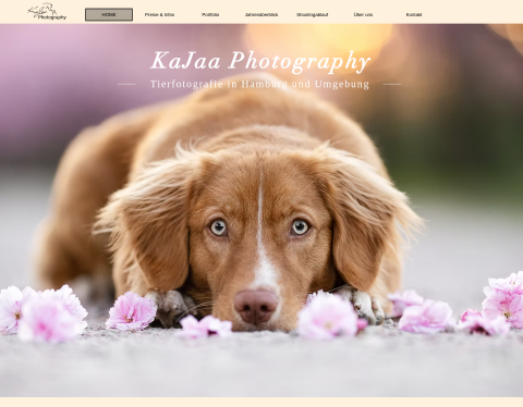 Website-Vorschau von Kajaa Photography, Tierfotografie in Hamburg