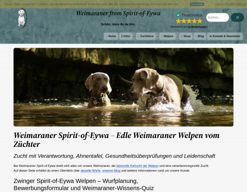 Vorschau von Weimaraner from Spirit-of-Eywa