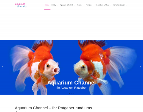Website-Vorschau von Aquarium Channel Ratgeber