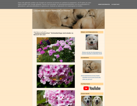 Website-Vorschau von Golden Fields - Golden Retriever Welpen
