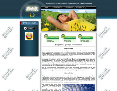 Website-Vorschau von Stromanbieterwechsel