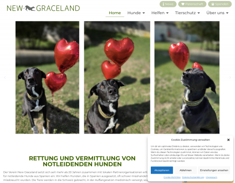 Vorschau von Galgos und Galgas