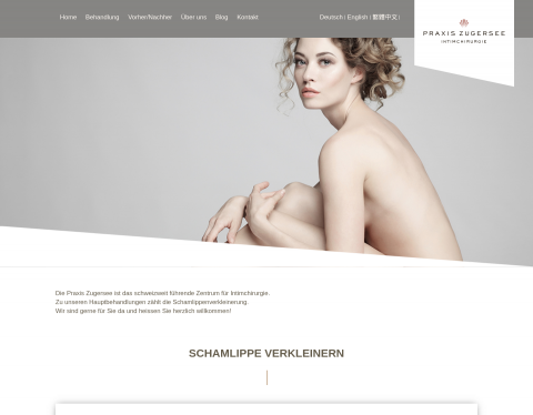 Website-Vorschau von Plastische Chirurgie in Zug Schweiz