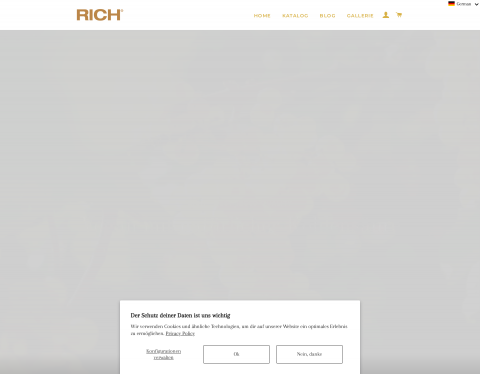 Website-Vorschau von Rich AG