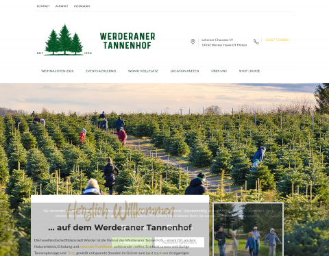 Website-Vorschau von Weihnachtsbaum selber schlagen