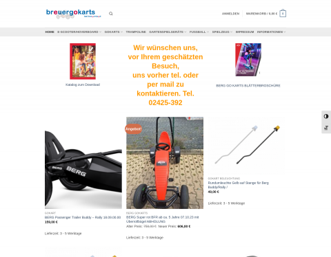 Website-Vorschau von Gokarts kaufen und mieten