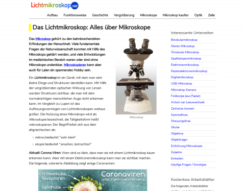 Vorschau von Das Lichtmikroskop - Mikroskopieren