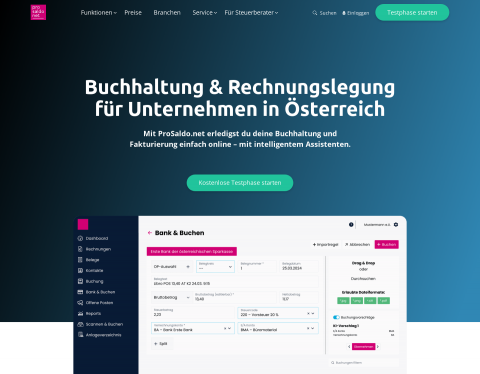 Website-Vorschau von Faktura für Selbständige