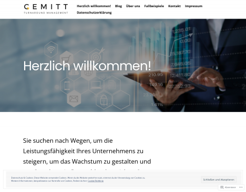 Vorschau von Cemitt GmbH Unternehmensberatung