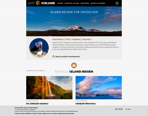 Website-Vorschau von JUST ICELAND