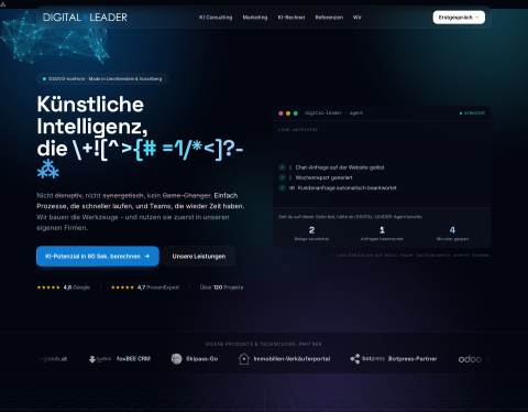 Website-Vorschau von The Digital Leader