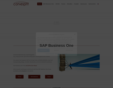 Website-Vorschau von SAP Beratungs- und Softwarehaus