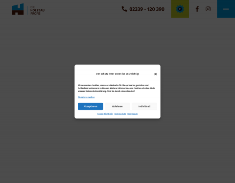 Website-Vorschau von Die Holzbauprofis
