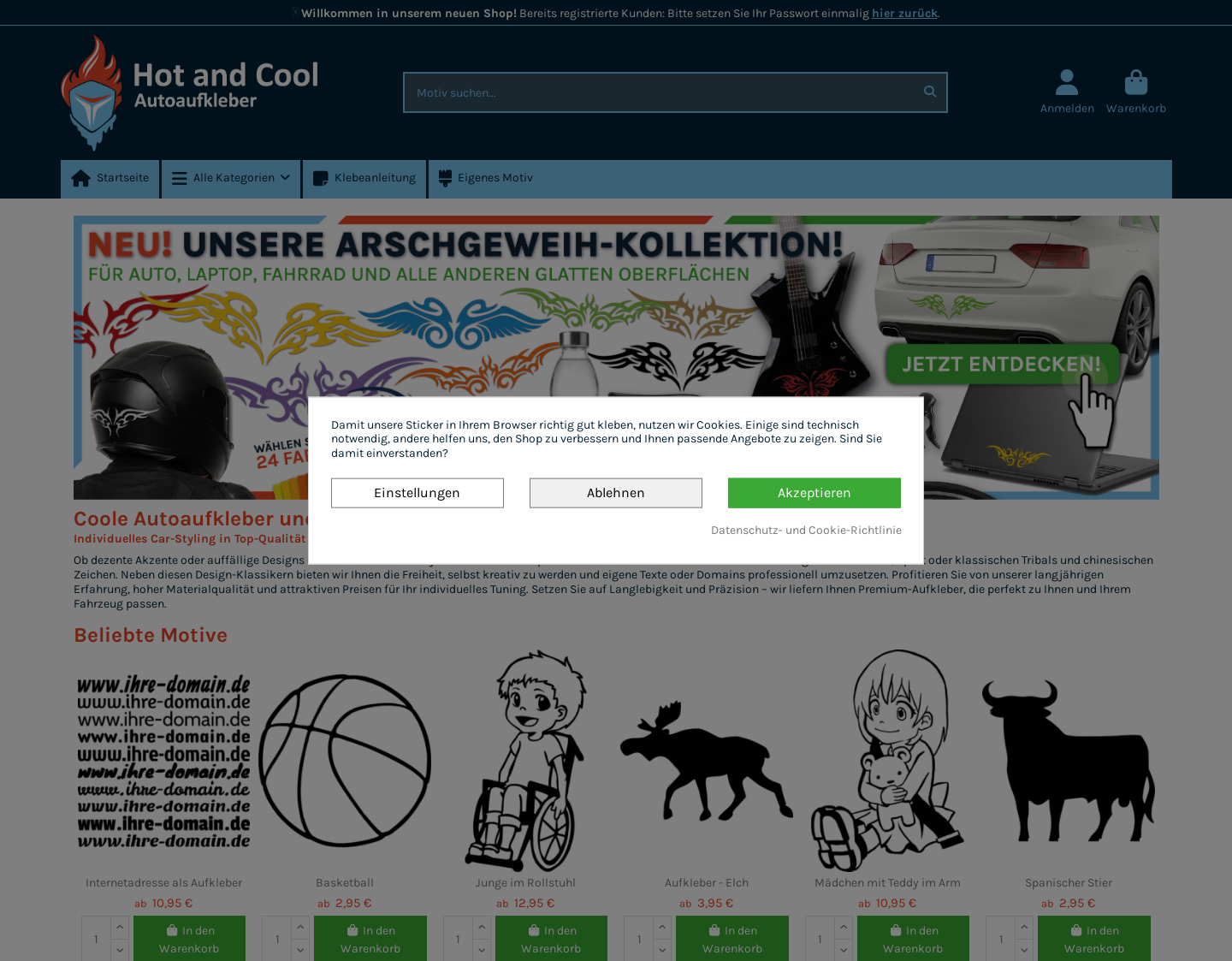Aktuelle Website-Vorschau von Hot-and-Cool