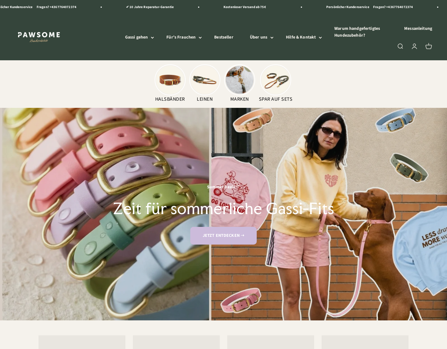 Aktuelle Website-Vorschau von Pawsome Hundezubehör