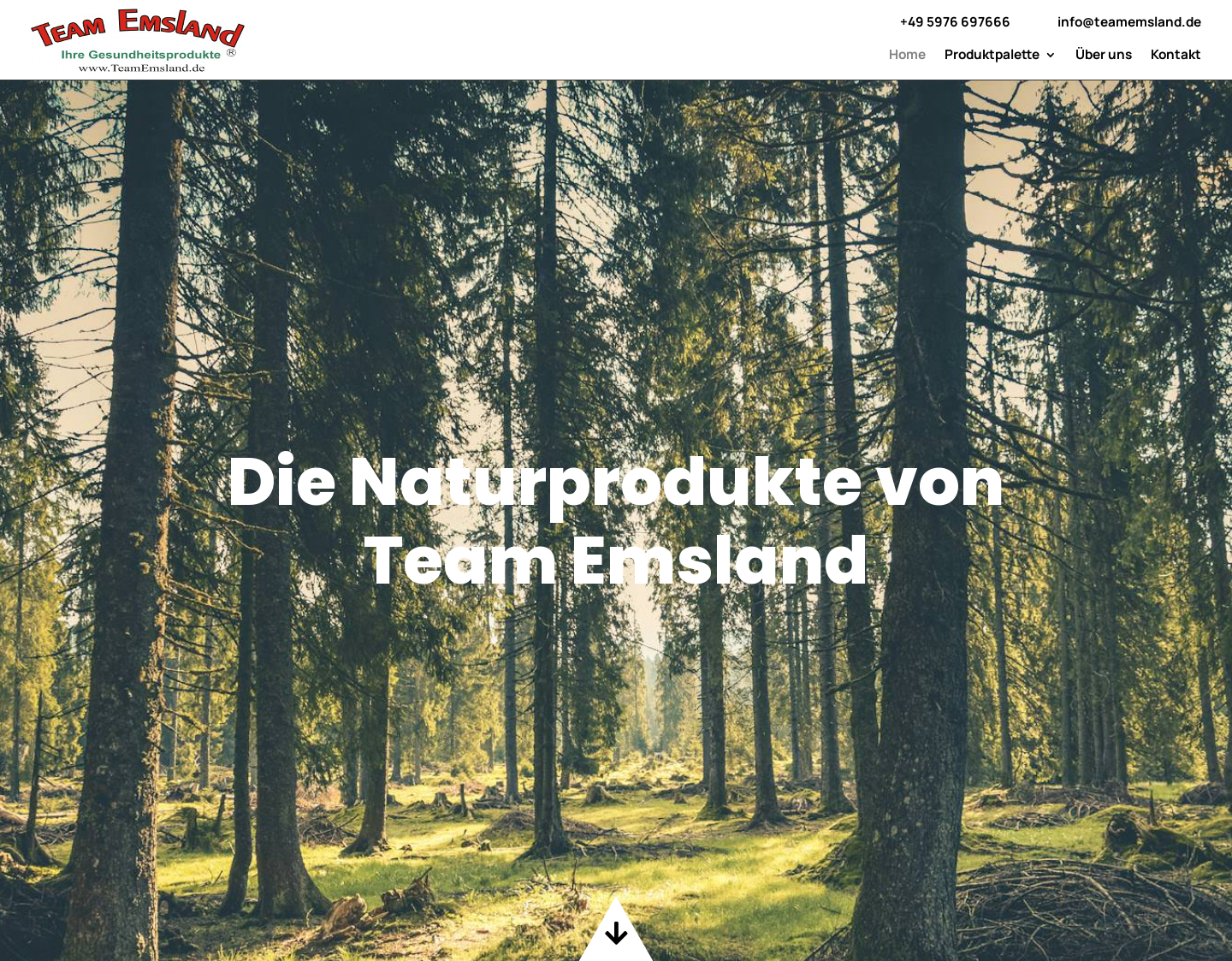 Aktuelle Website-Vorschau von Team Emsland