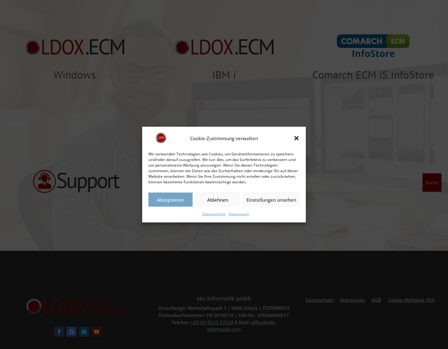 Aktuelle Website-Vorschau von DMS ECM Systeme für Unternehmen