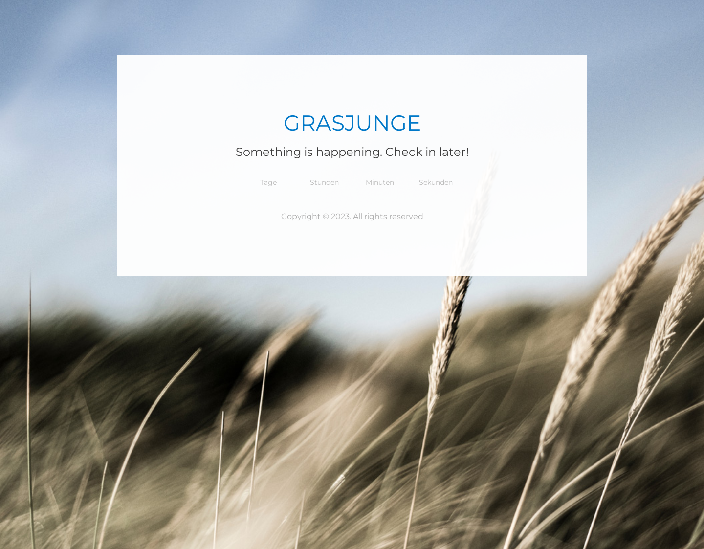 Aktuelle Website-Vorschau von Grasjunge - Premium CBD Öl kaufen