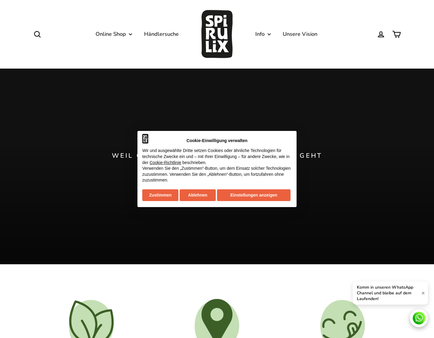 Aktuelle Website-Vorschau von Spirulix