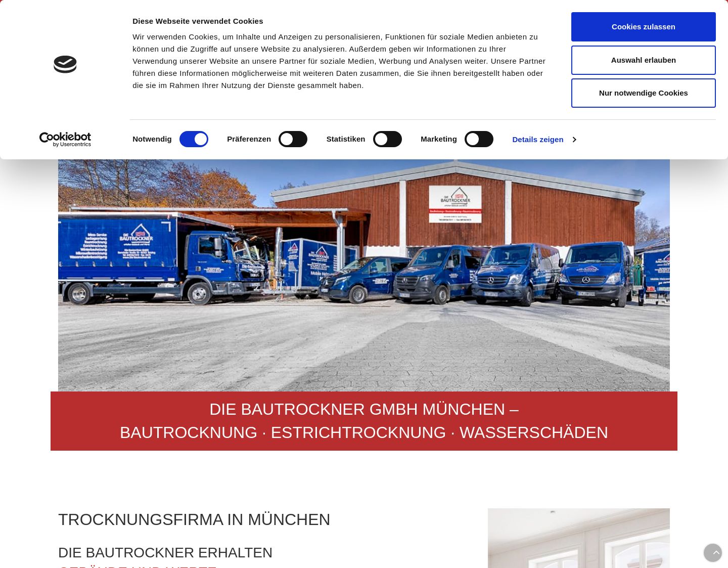 Aktuelle Website-Vorschau von Die Bautrockner GmbH