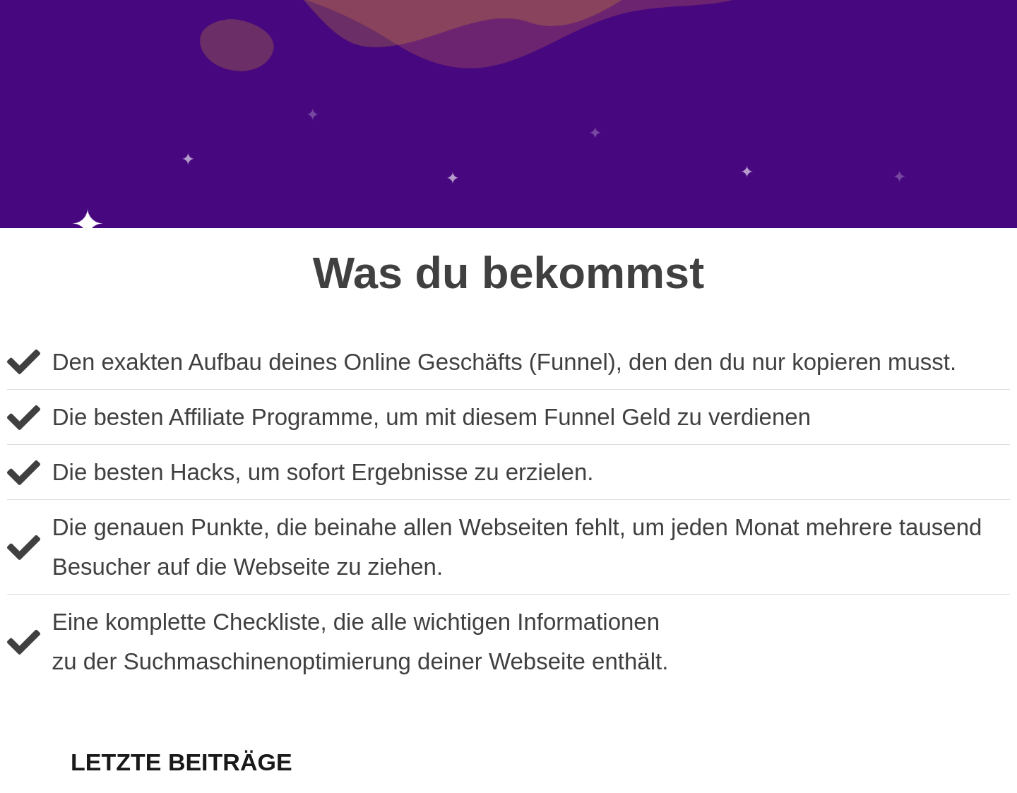Aktuelle Website-Vorschau von FirstEnterprise