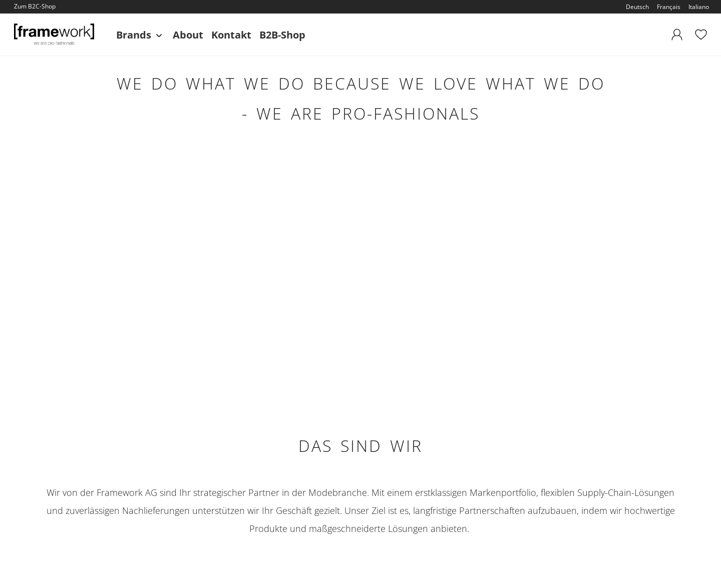 Aktuelle Website-Vorschau von Framework AG