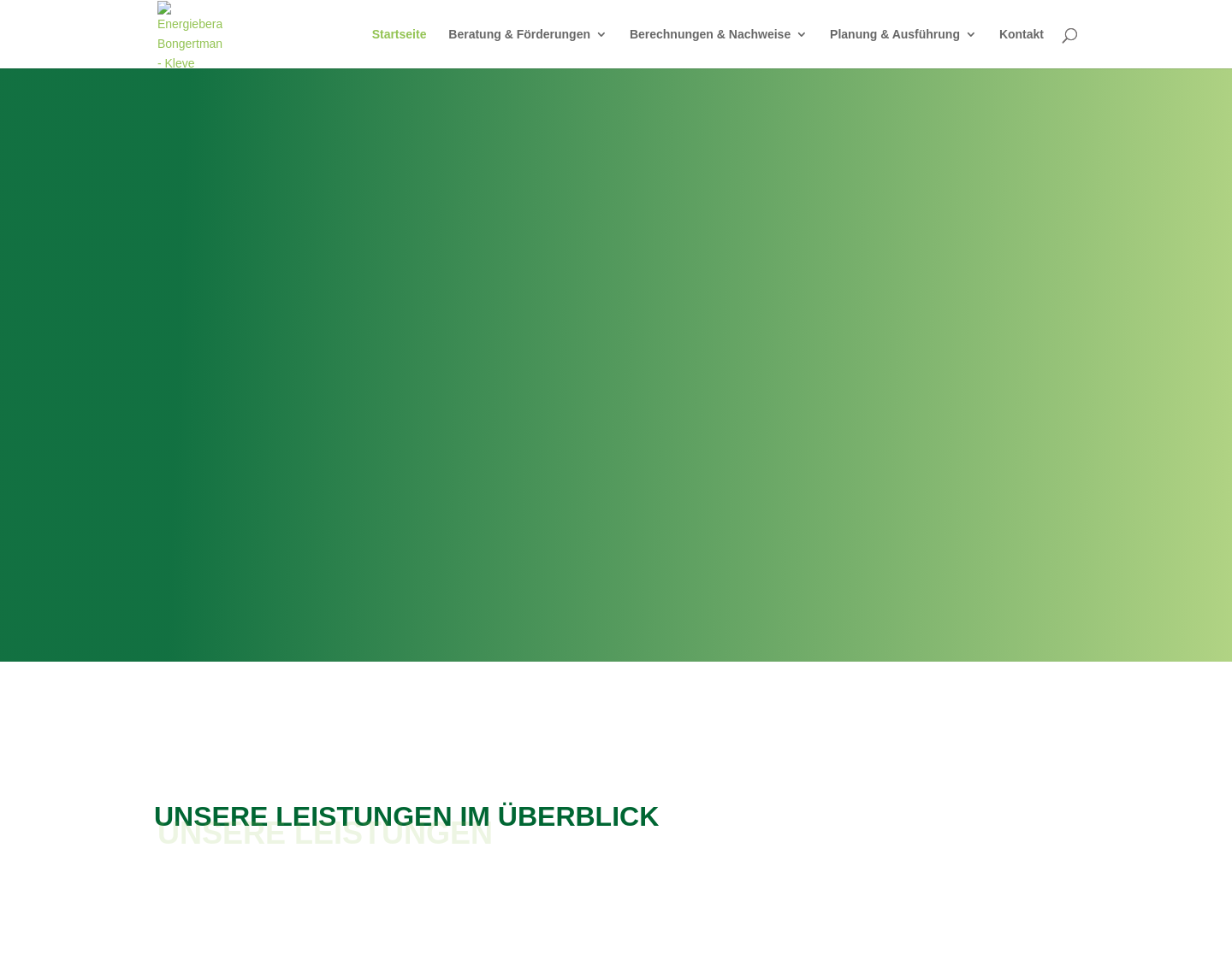 Aktuelle Website-Vorschau von Energieberatung Bongertmann