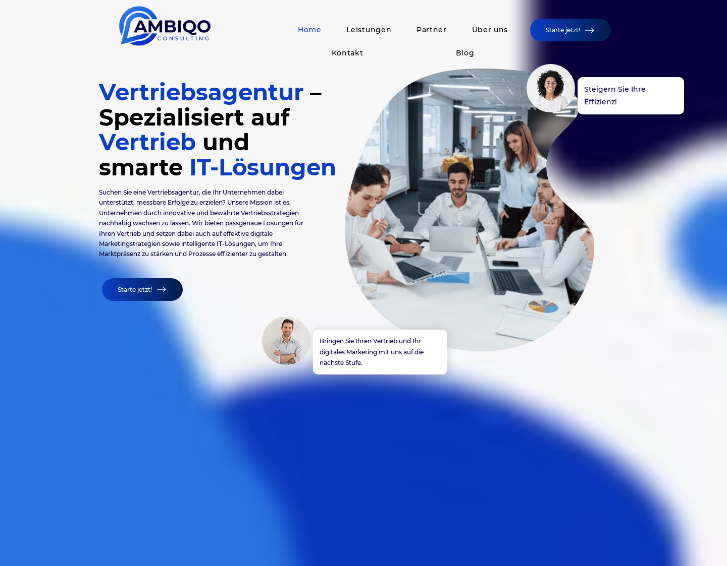 Aktuelle Website-Vorschau von Vertrieb und Digitales Marketing