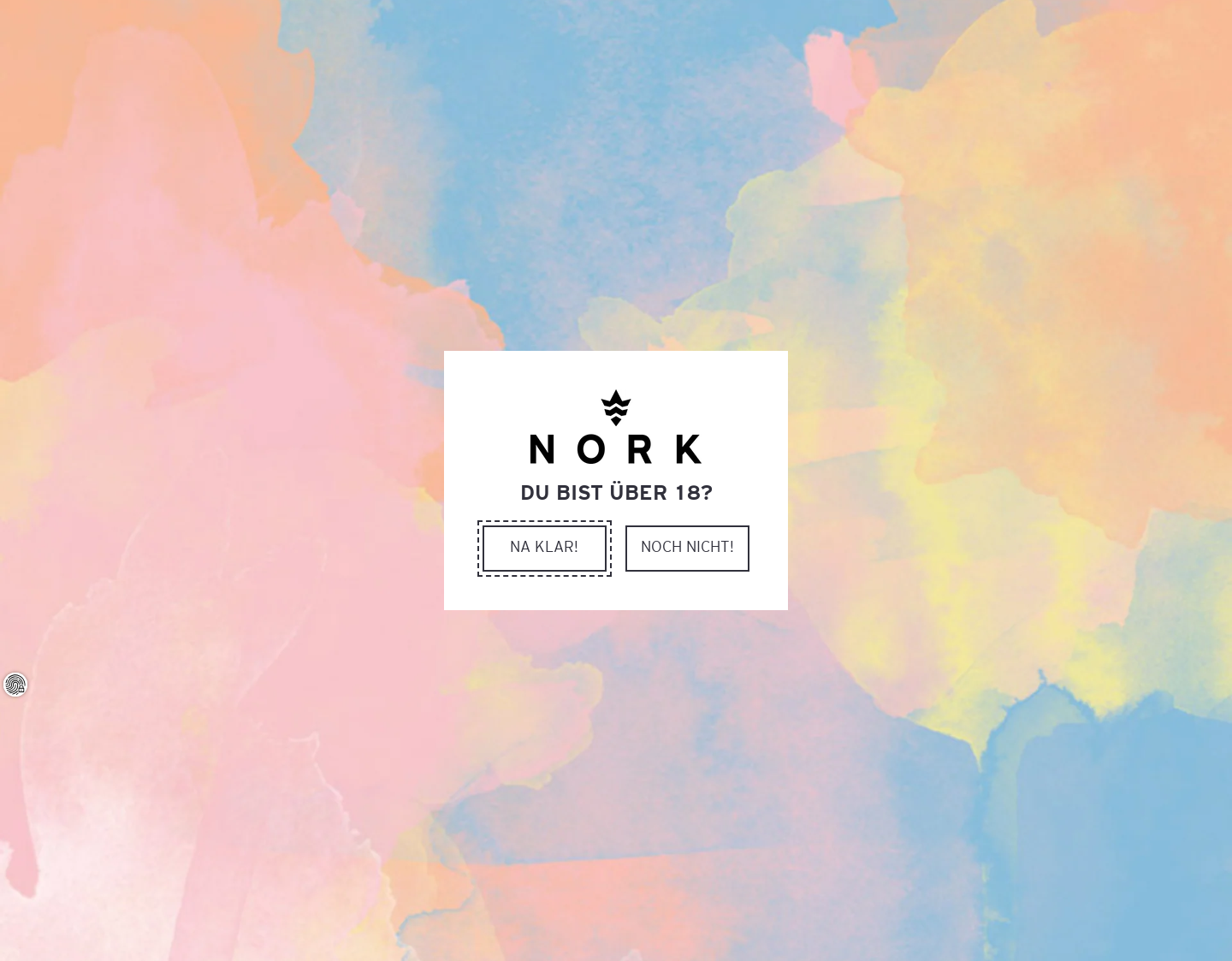 Aktuelle Website-Vorschau von NORK GmbH&Co.KG