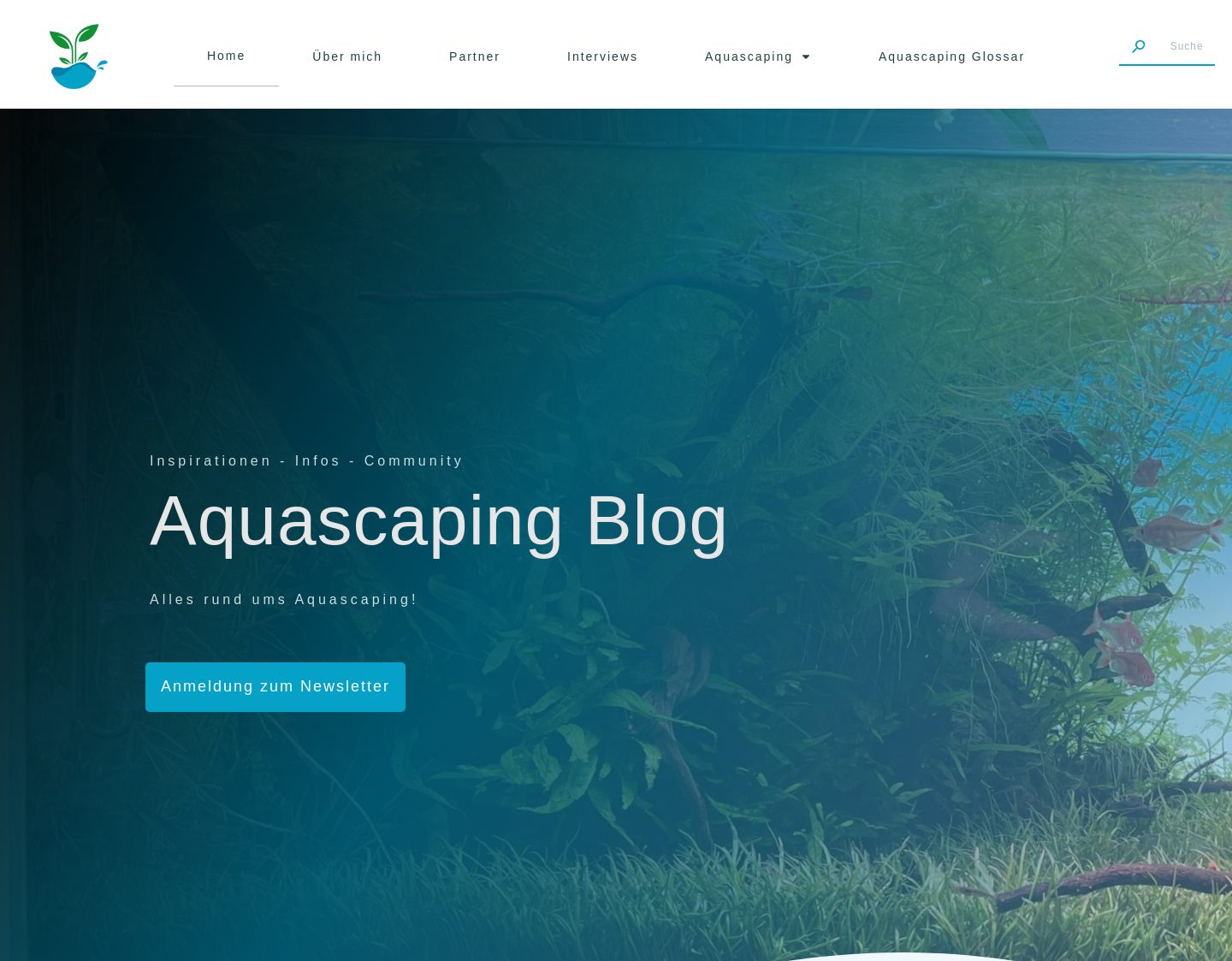 Aktuelle Website-Vorschau von Aquascaping Blog
