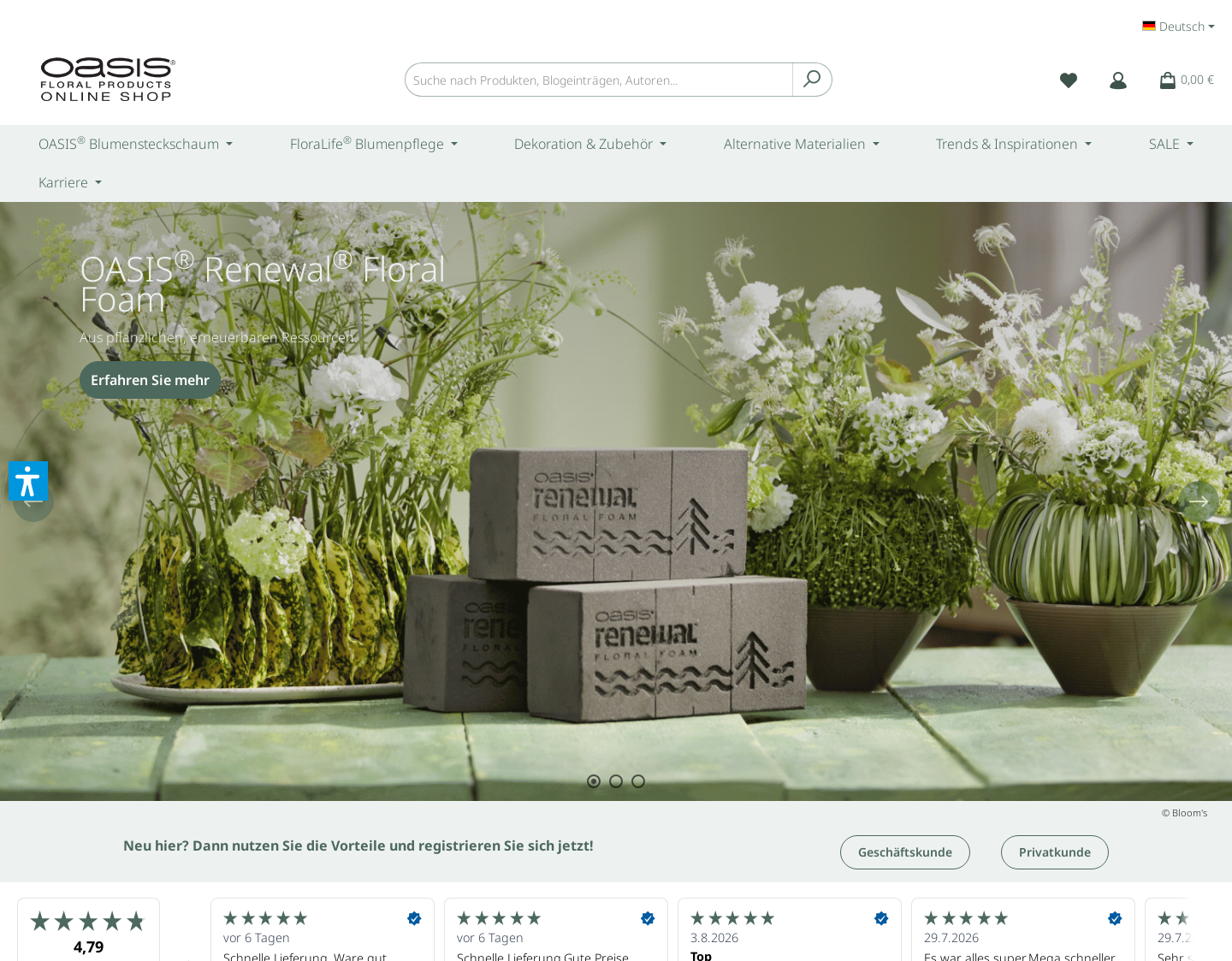 Aktuelle Website-Vorschau von Smithers-Oasis Germany GmbH