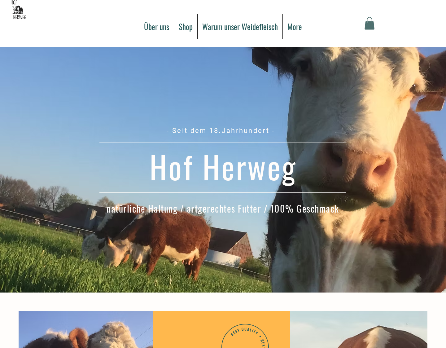 Aktuelle Website-Vorschau von Hof Herweg