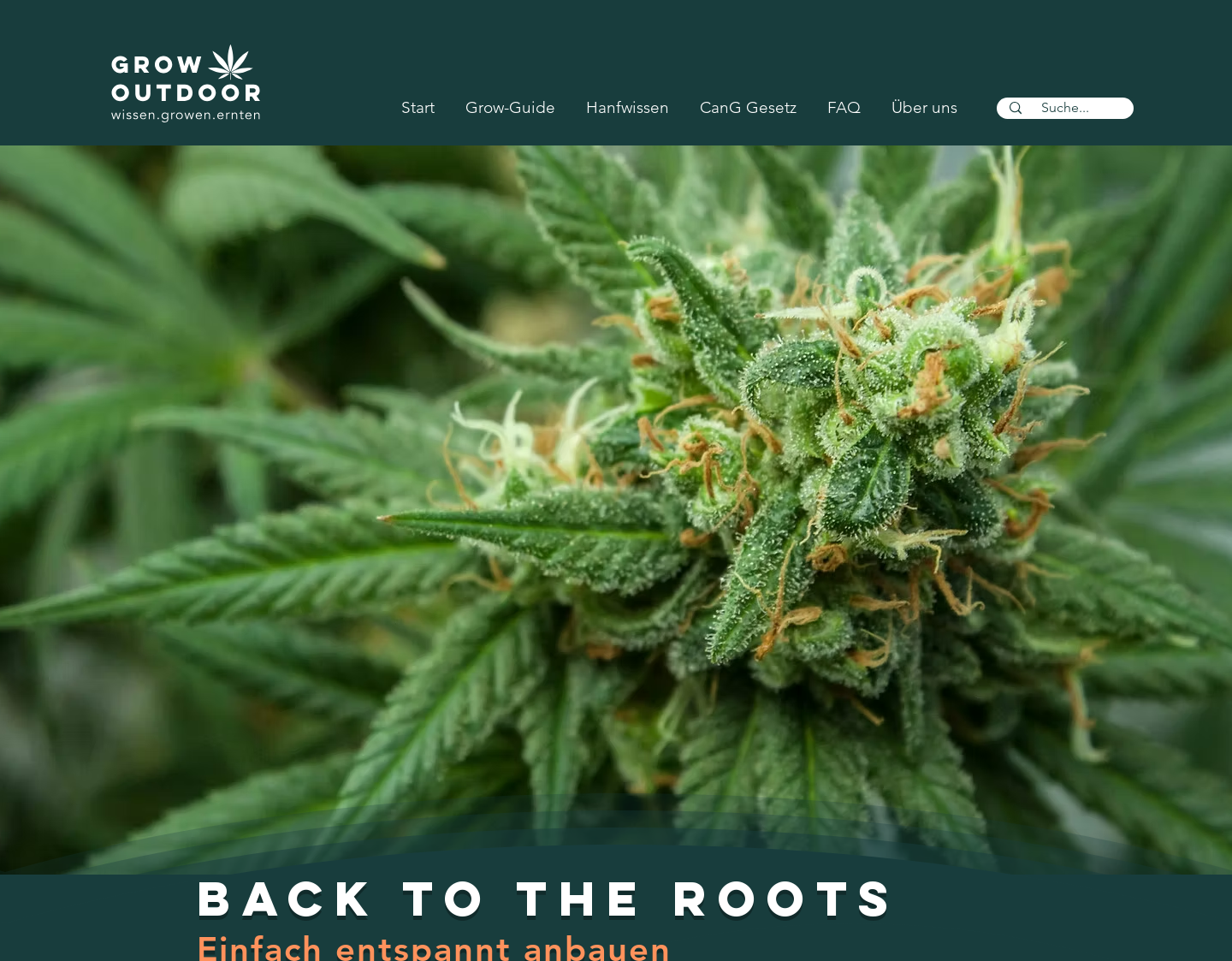 Aktuelle Website-Vorschau von Grow Outdoor
