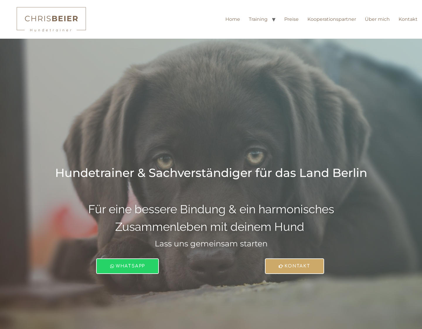 Aktuelle Website-Vorschau von Christian Beier - Hundetrainer Berlin