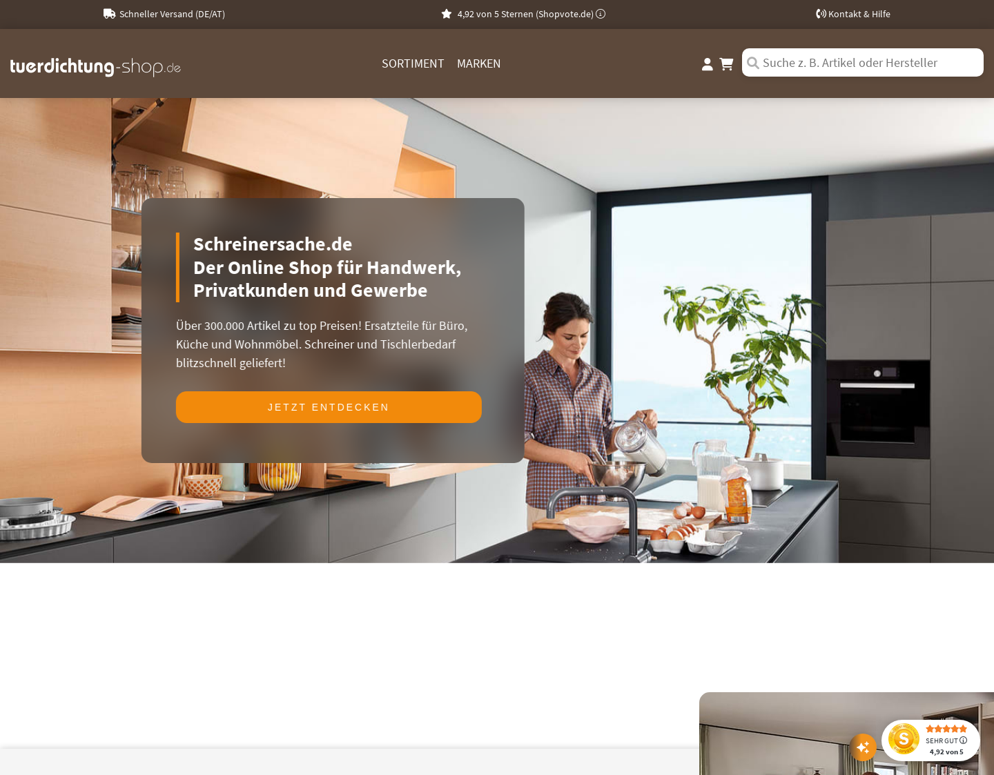Aktuelle Website-Vorschau von Tuerdichtung-Shop