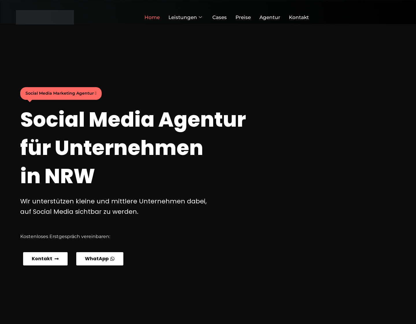 Aktuelle Website-Vorschau von THL Marketing