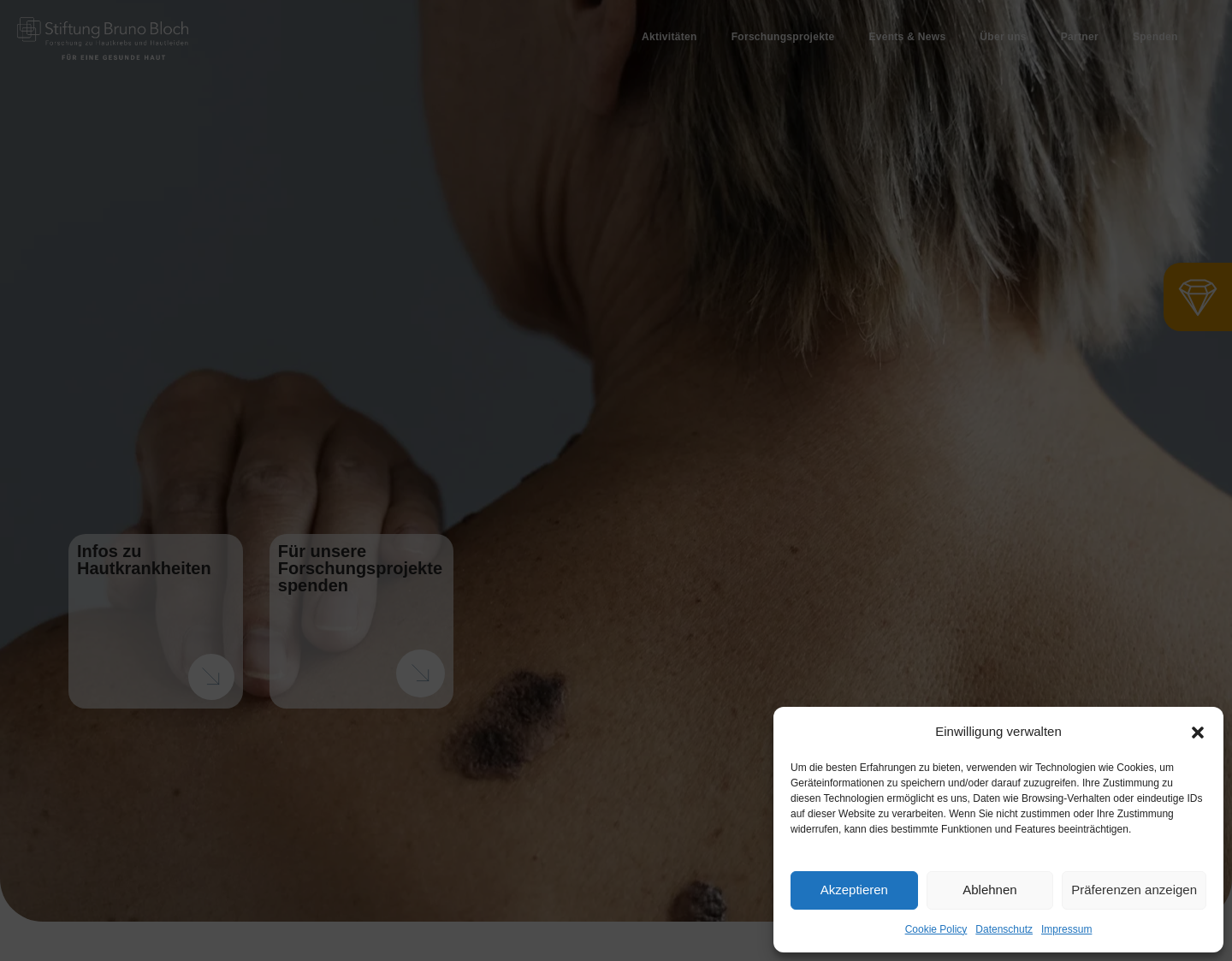 Aktuelle Website-Vorschau von Bruno Bloch Stiftung