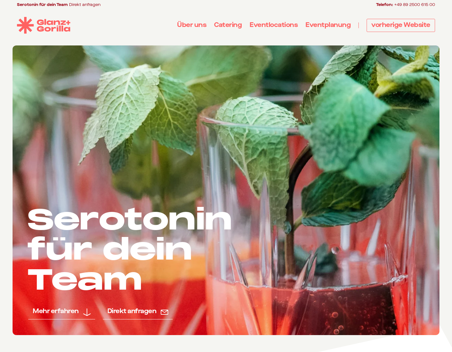 Aktuelle Website-Vorschau von Glanz & Gorilla GmbH