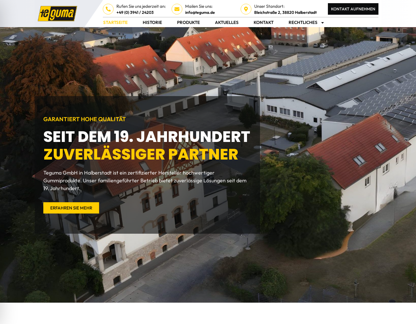 Aktuelle Website-Vorschau von Teguma GmbH