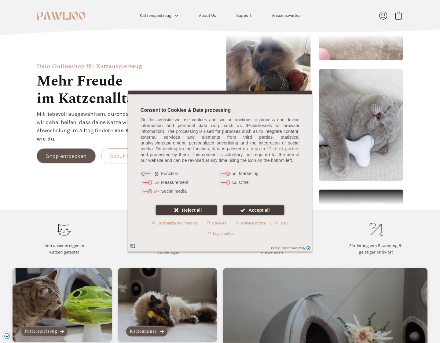 Aktuelle Website-Vorschau von Pawlioo - Onlineshop für Katzenspielzeug