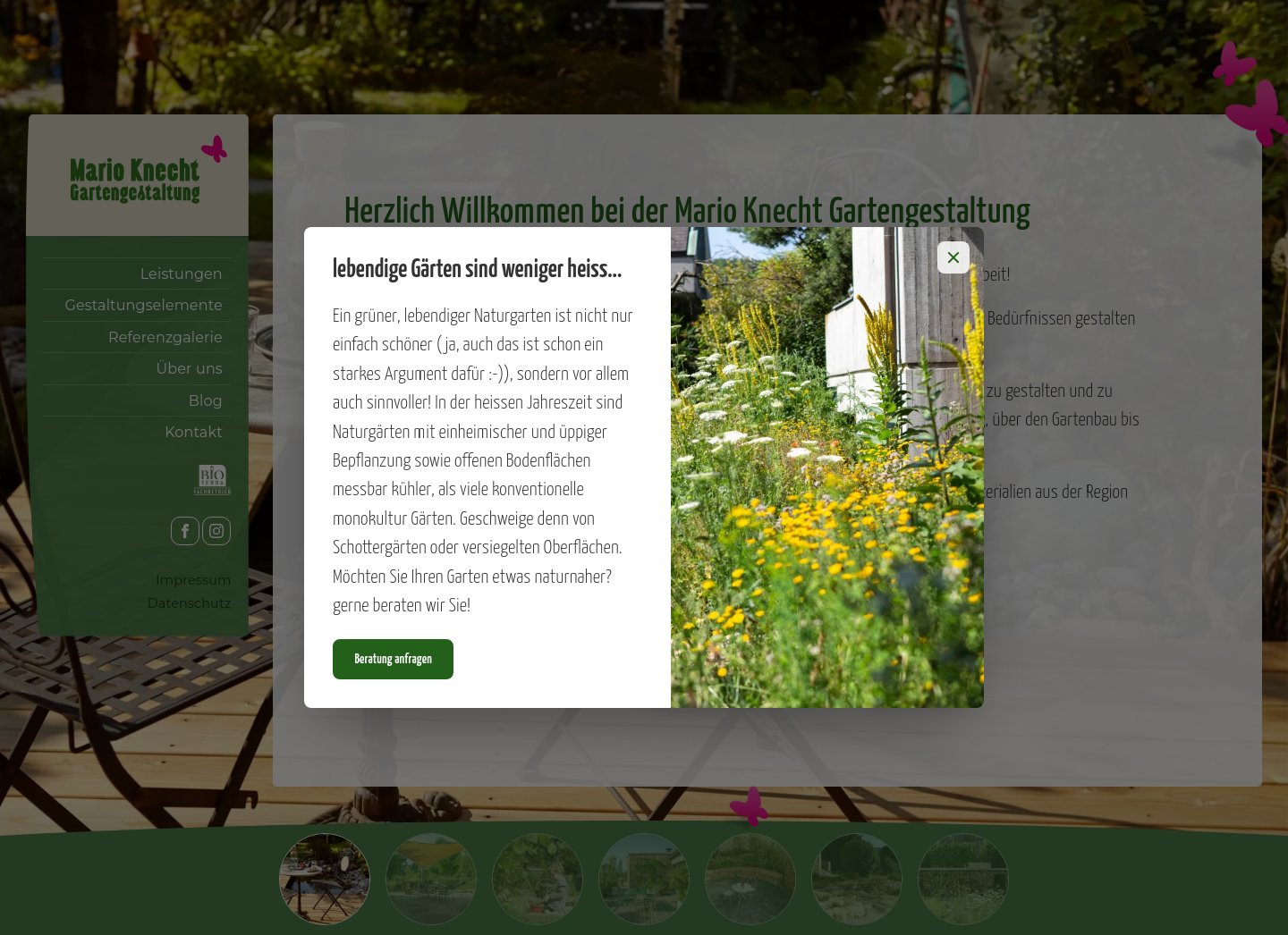 Aktuelle Website-Vorschau von Mario Knecht Gartengestaltung