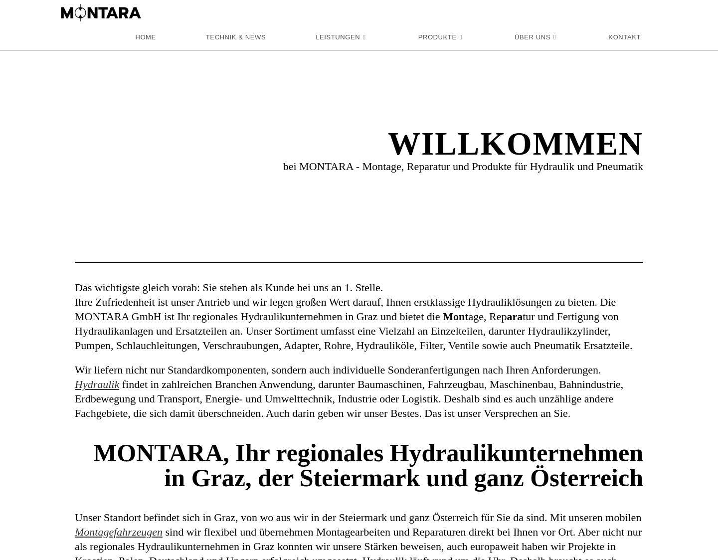 Aktuelle Website-Vorschau von MONTARA GmbH