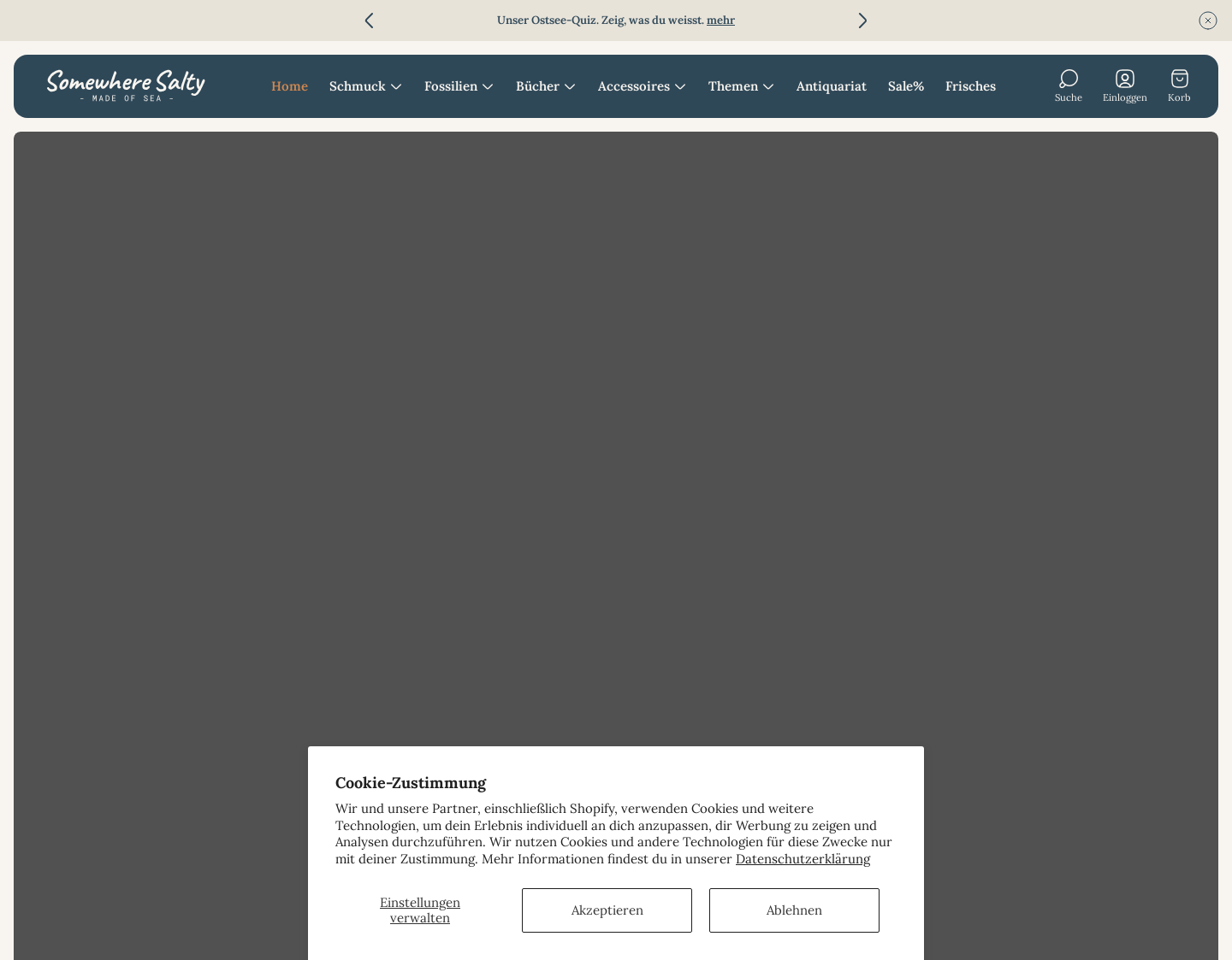 Aktuelle Website-Vorschau von Rügensteine - Schönes von der Küste